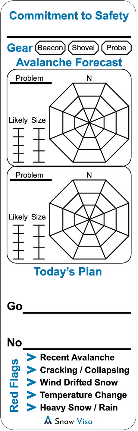 Snow Visa blank sticker