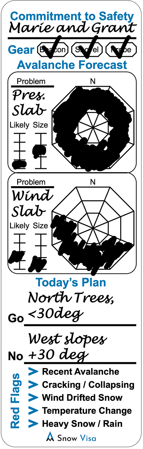 Snow Visa filled in sticker