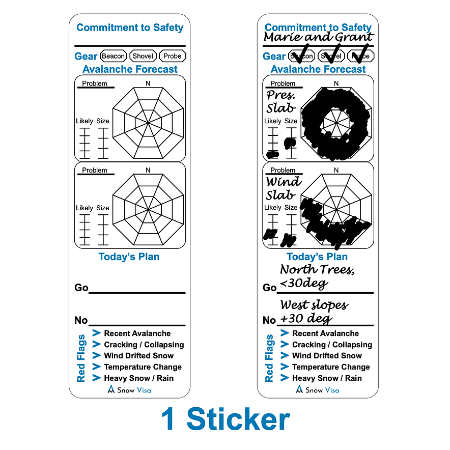 Snow Visa Sticker Kit